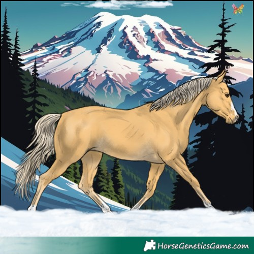 Horse Color:Palomino 