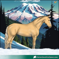 Horse Color:Palomino 
