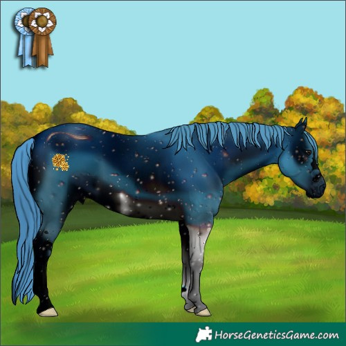 Horse Color:ERROR: UNKNOWN ANOMALY