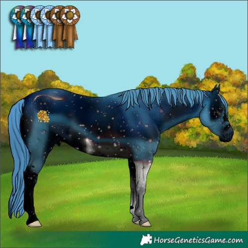 Horse Color:ERROR: UNKNOWN ANOMALY