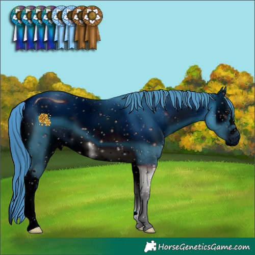 Horse Color:ERROR: UNKNOWN ANOMALY