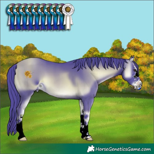 Horse Color:ERROR: UNKNOWN ANOMALY
