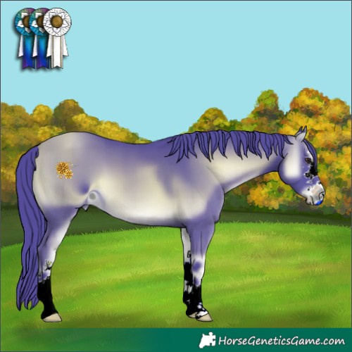 Horse Color:ERROR: UNKNOWN ANOMALY