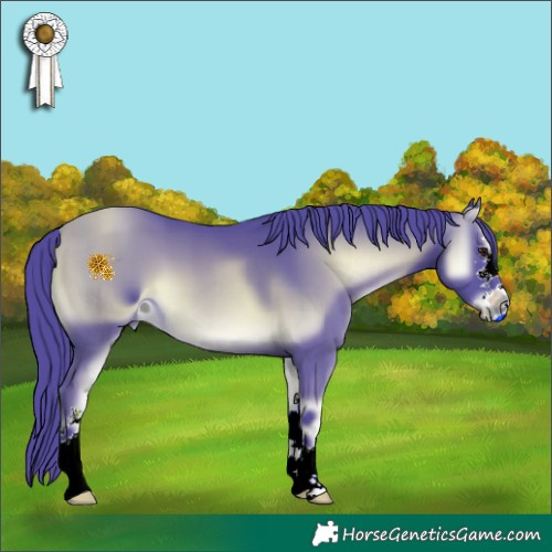 Horse Color:ERROR: UNKNOWN ANOMALY