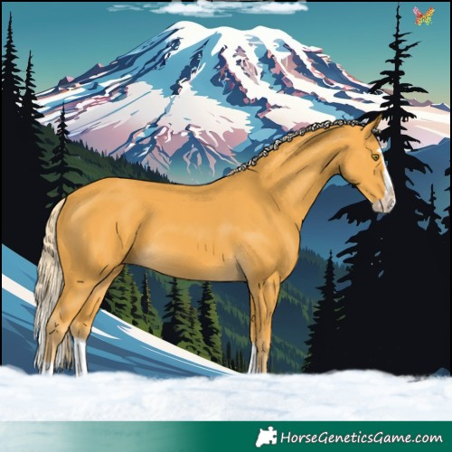 Horse Color:Palomino Splash