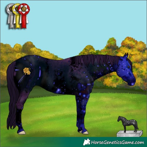 Horse Color:ERROR: UNKNOWN ANOMALY