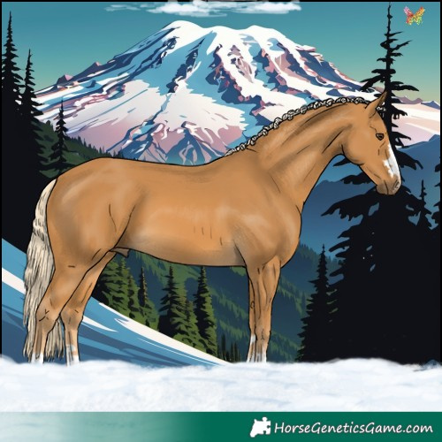 Horse Color:Palomino 