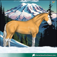 Horse Color:Palomino Splash