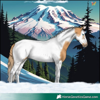 Horse Color:Chestnut Splash Tobiano Frame 