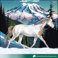 Horse Color:Chestnut Splash Tobiano Frame 