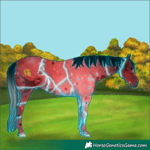 Horse Color:ERROR: UNKNOWN ANOMALY