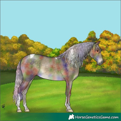 Horse Color:Nacre Silver Buckskin Dun Tobiano 