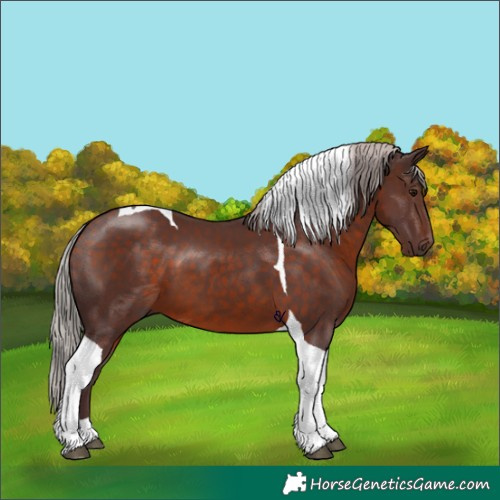Horse Color:Chocolate Silver Brown Tobiano 