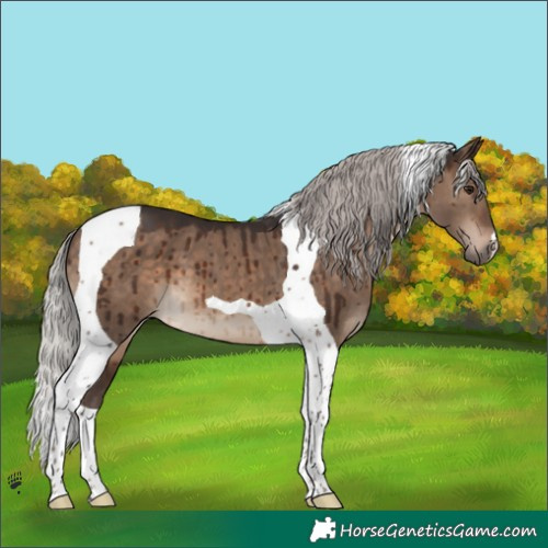 Horse Color:Silver Brown Dun Tobiano Brindle 