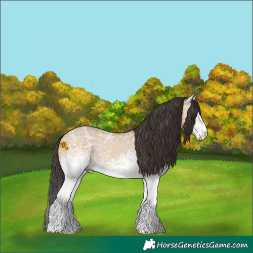 Horse Color:White Spotted Bay Ice Dun Rabicano 