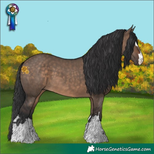 Horse Color:Brown Dun 