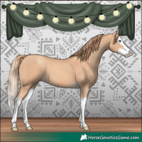 Horse Color:Gold Champagne Splash 