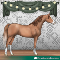 Horse Color:Gold Champagne Splash 