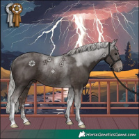 Horse Color:Silver Black Tobiano Rabicano