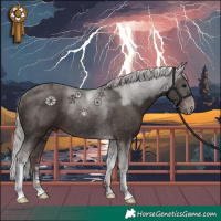 Horse Color:Silver Black Tobiano Rabicano