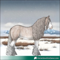 Horse Color:Silver Brown Roan Dun Splash Rabicano