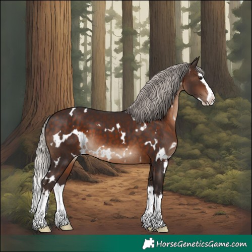 Horse Color:White Spotted Silver Brown Splash 