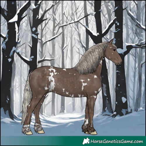Horse Color:White Spotted Silver Black Rabicano