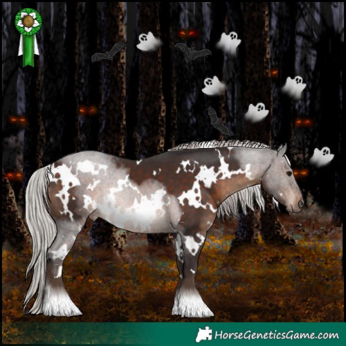 Horse Color:White Spotted Silver Brown 