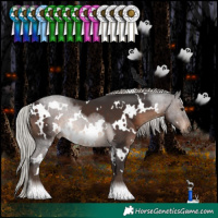 Horse Color:White Spotted Silver Brown