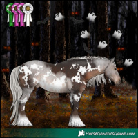Horse Color:White Spotted Silver Brown