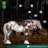 Horse Color:White Spotted Silver Brown