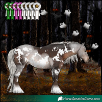 Horse Color:White Spotted Silver Brown 