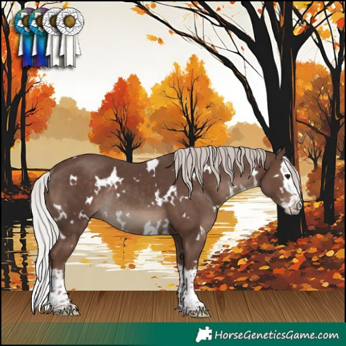 Horse Color:White Spotted Silver Black Splash Rabicano 