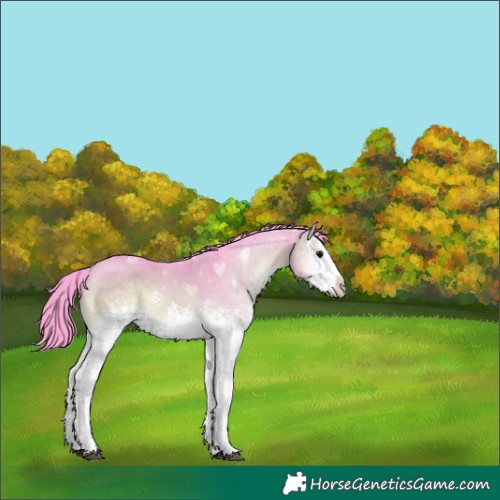Horse Color:Watercolor White Spotted Brown Onyx 