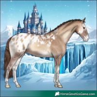 Horse Color:White Spotted Classic Champagne Onyx Appaloosa