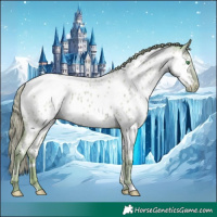 Horse Color:Watercolor White Spotted Classic Cream Champagne Dun Near Leopard