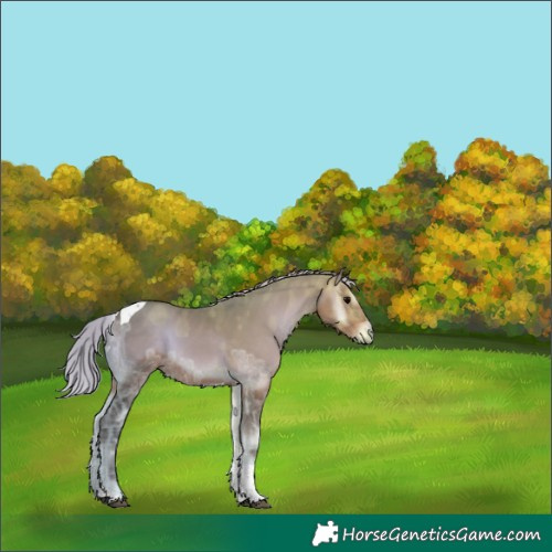 Horse Color:Silver Brown Ice Onyx Tobiano 