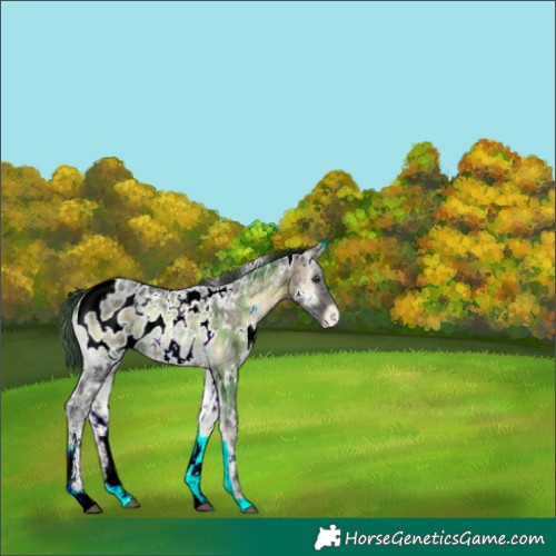 Horse Color:Plaid  White Spotted Brown Ice Onyx Near Leopard 