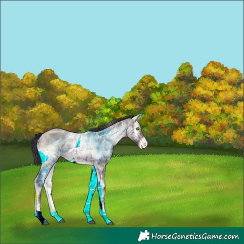 Horse Color:ERROR: UNKNOWN ANOMALY