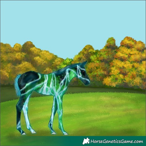 Horse Color:ERROR: UNKNOWN ANOMALY