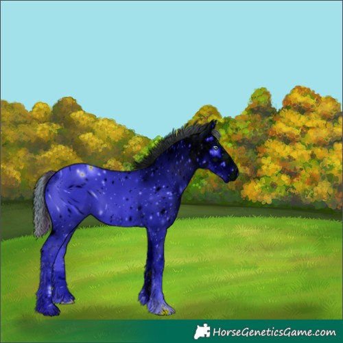 Horse Color:ERROR: UNKNOWN ANOMALY