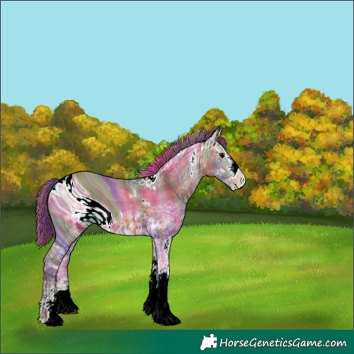 Horse Color:ERROR: UNKNOWN ANOMALY
