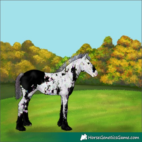 Horse Color:Plaid  White Spotted Brown Ice Snowcap 