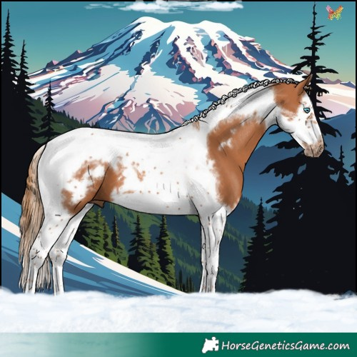 Horse Color:Chestnut Splash Tobiano Frame 