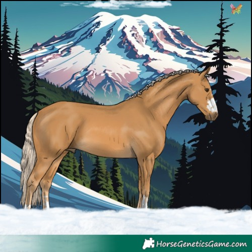 Horse Color:Palomino 