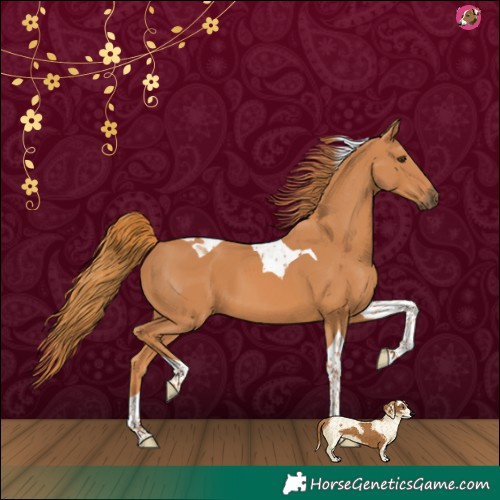 Horse Color:Chestnut Tobiano 