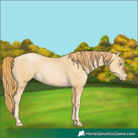 Horse Color:Smoky Black Pearl 