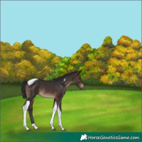 Horse Color:Brown Mushroom Tobiano 