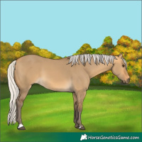 Horse Color:Silver Buckskin Dun 