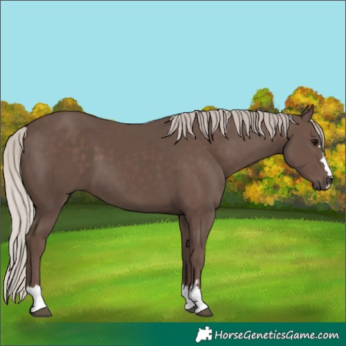 Horse Color:Silver Black 
